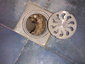 廣州建王防水材料